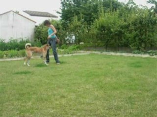 Vanook en obr le 13/07/08