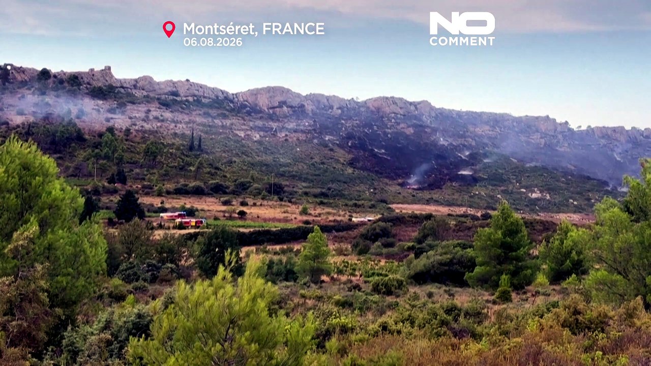 França: fogo consome 100 hectares perto de Narbonne