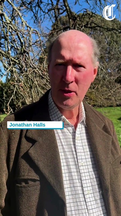 From folly to viral fame: the man who bet everything on a restoration ruin