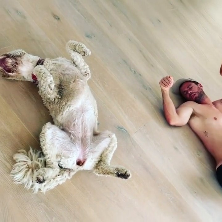 Chris-hemsworth-perrita