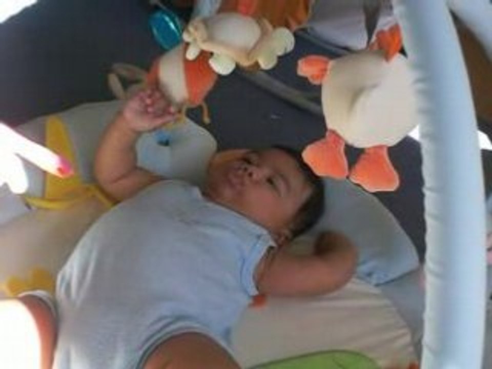 raphael et le tapis d"eveil