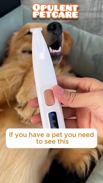 Pet Paw Trimmer with LED Light – Waterproof Cordless Dog Grooming Clipper, $10.99