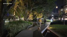 Shenzhen Night Walk at a Roadside Pocket Park