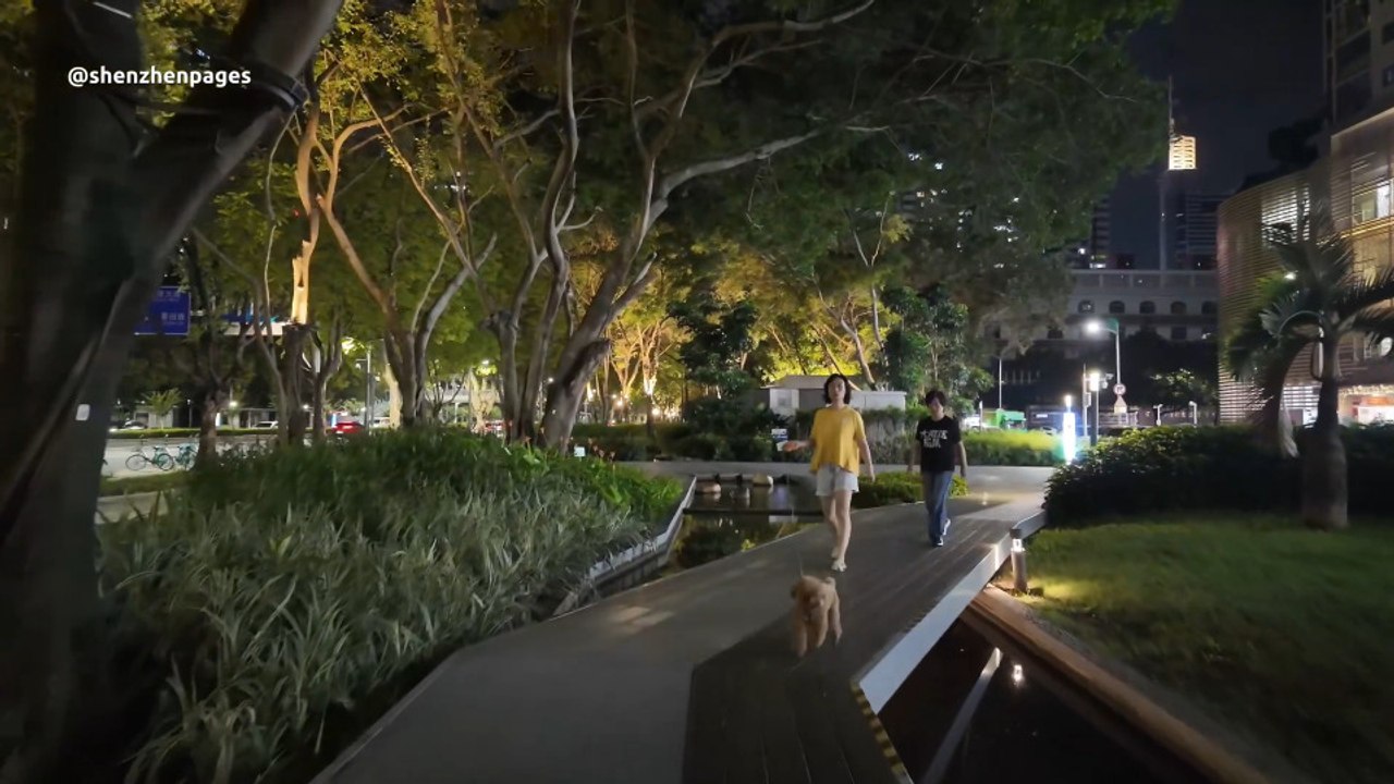 Shenzhen Night Walk at a Roadside Pocket Park