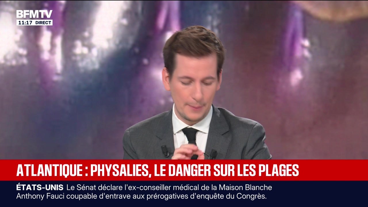 BFM Direct - Vendredi 7 août 2026