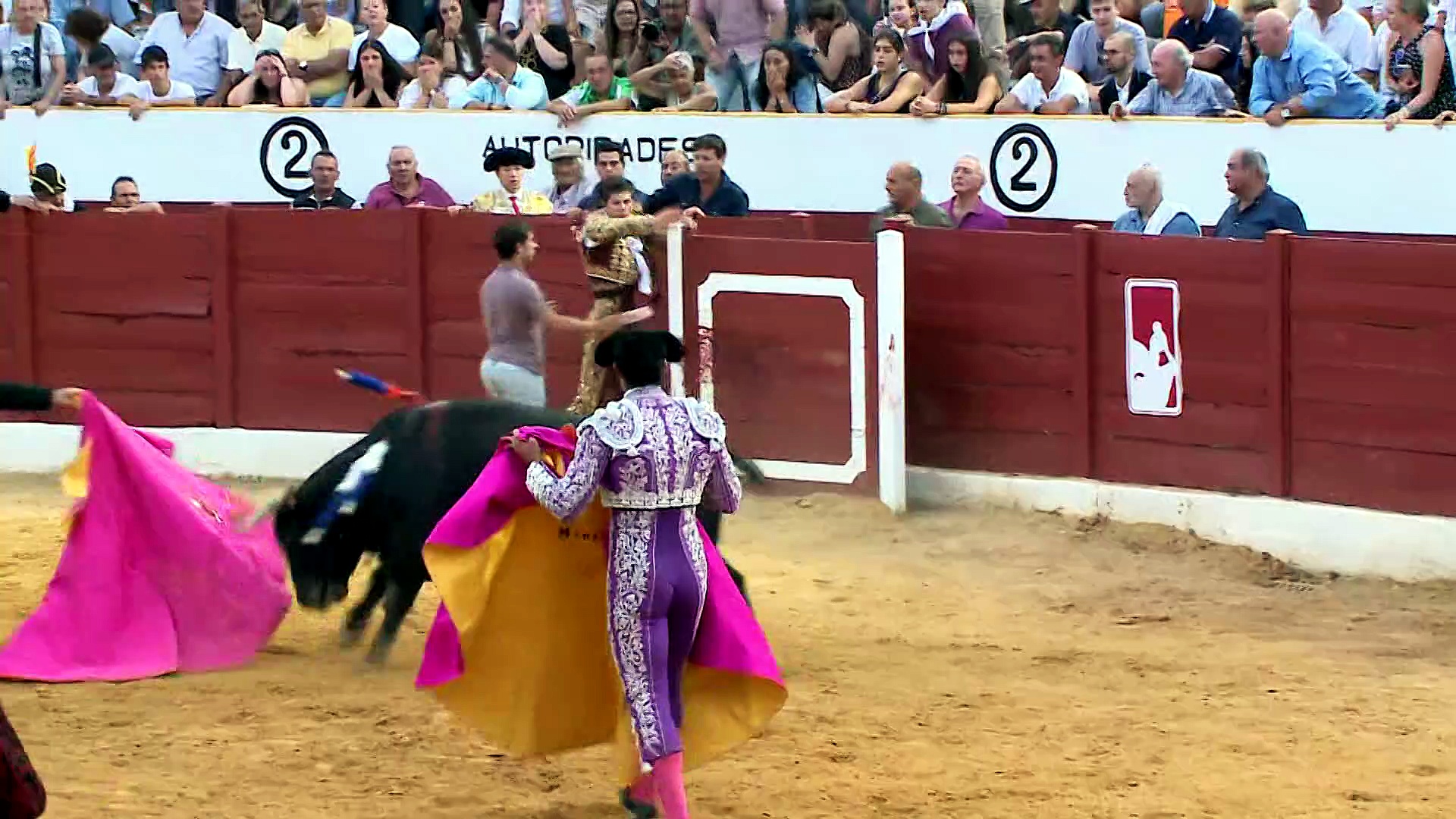 Grana y Oro con festejos de Iscar, Las Navas del Marqués, Circuito de Novilladas de Castilla y Leon, Tudela, Estella, El Puerto, Huelva y Santander. También feria de Valencia, etc