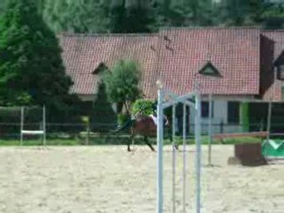 Galop 4 obstacle avec Lady