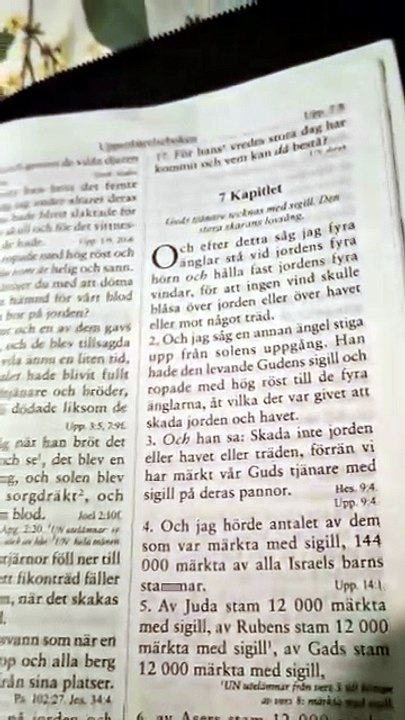 Uppenbarelseboken 7 Kapitlet. Örebro 6 Aug. 2026