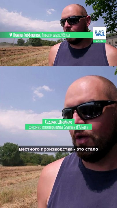 На фоне засухи фермеры Эльзаса ставят на бобовы...