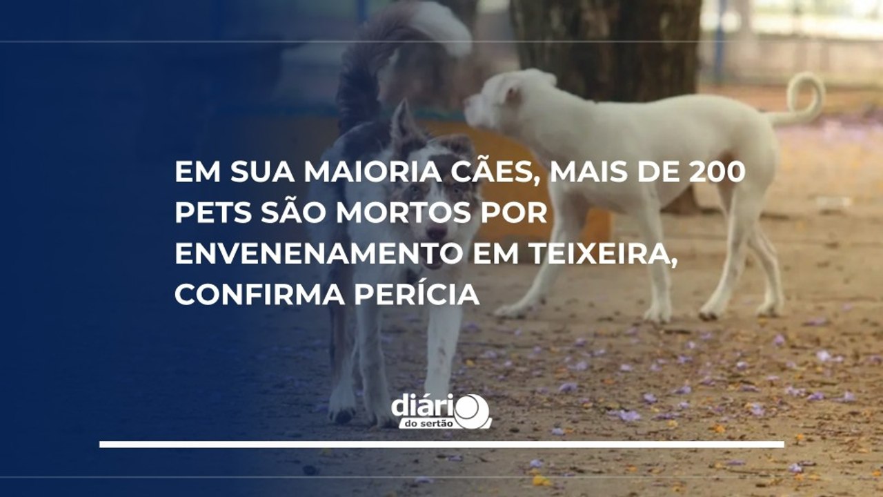 Em sua maioria cães, mais de 200 pets são mortos por envenenamento em Teixeira, confirma perícia