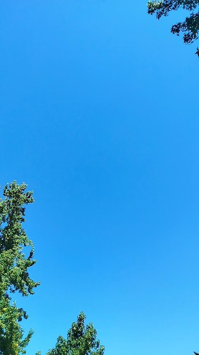 Blue sky