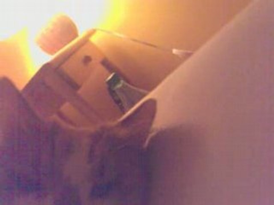 Psyko matte un concert de Mister Gang