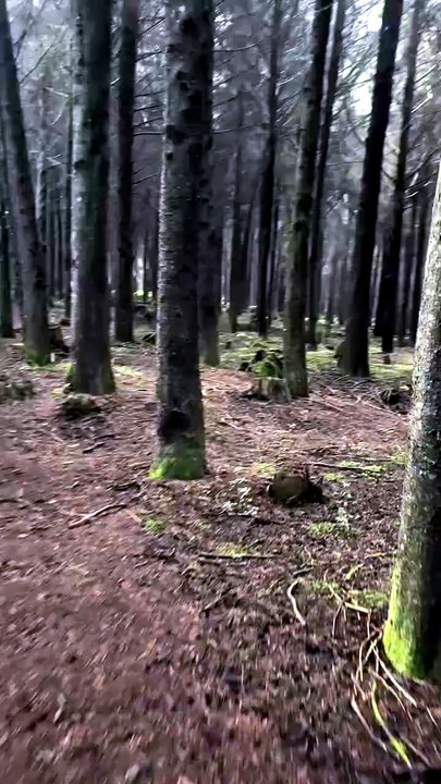 a natureza e espetacular