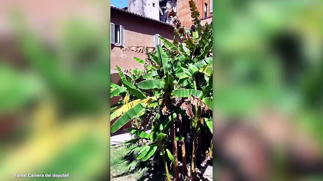 Roma, una cisterna medievale colma d'acqua sotto palazzo San Macuto
