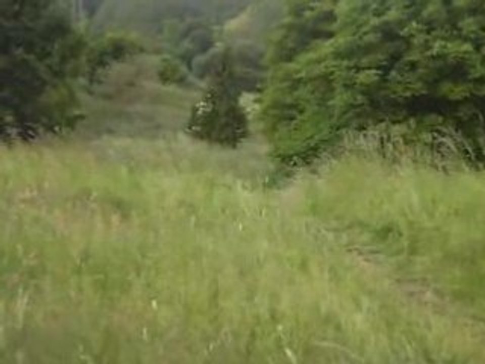 saut de daniel en yz80