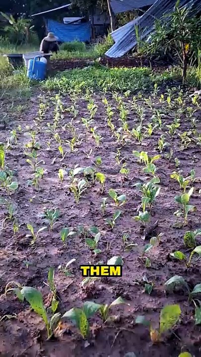 Plants Grow MEAT?! 🤯