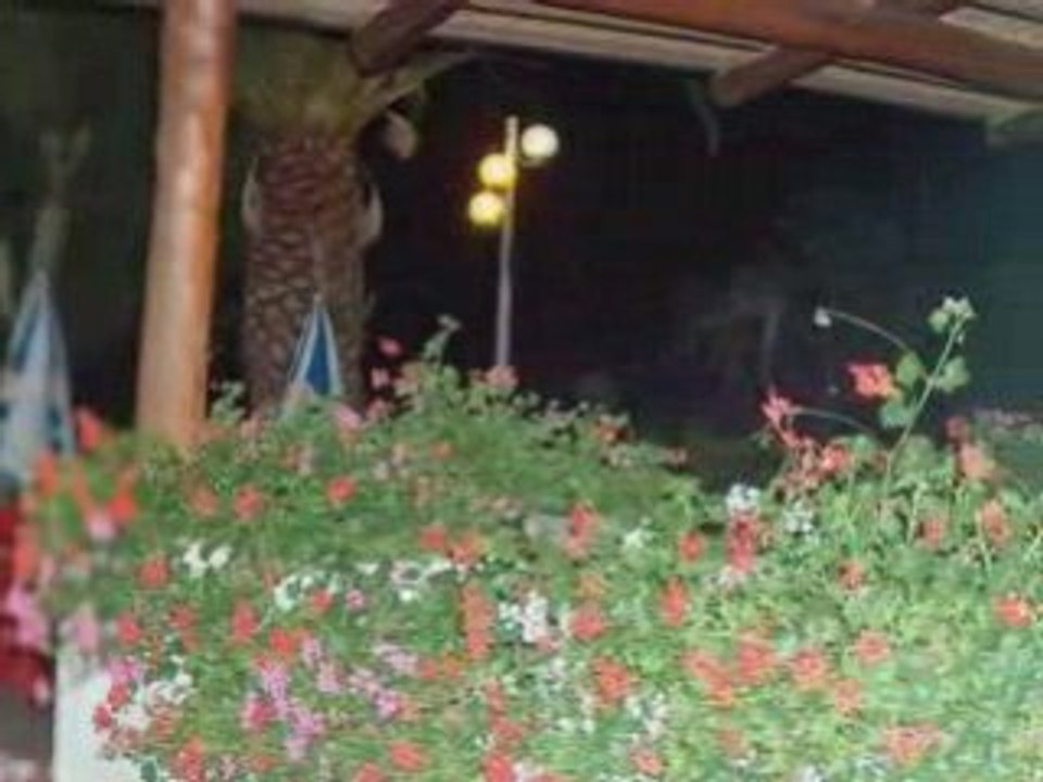 Villaggio vacanze il bonsai-y