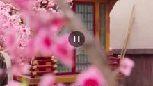 Into the Dragon's Rage Chinese Drama - English Sub