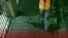 Falsa cuadrilla simula obra pública y roba 700 mil pesos a negocio en Puebla