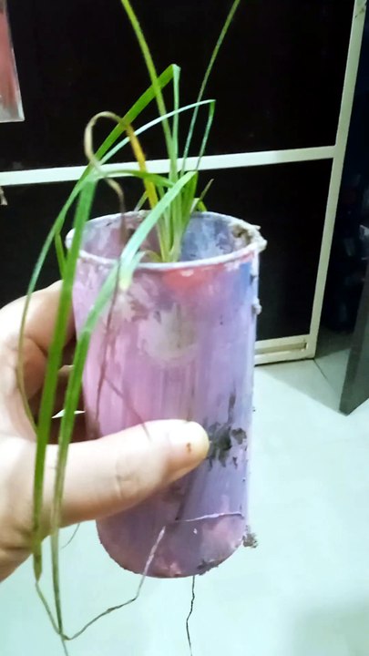 Flower pot creation|| small gamla for plants