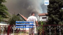 Incêndios florestais continuam a alastrar-se enquanto a Europa sofre com o calor extremo
