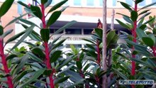 Video News - Sismabonus e crediti falsi. due bresciani condannati