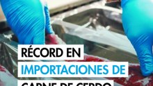 México ya es el primer importador de carne de cerdo en el mundo