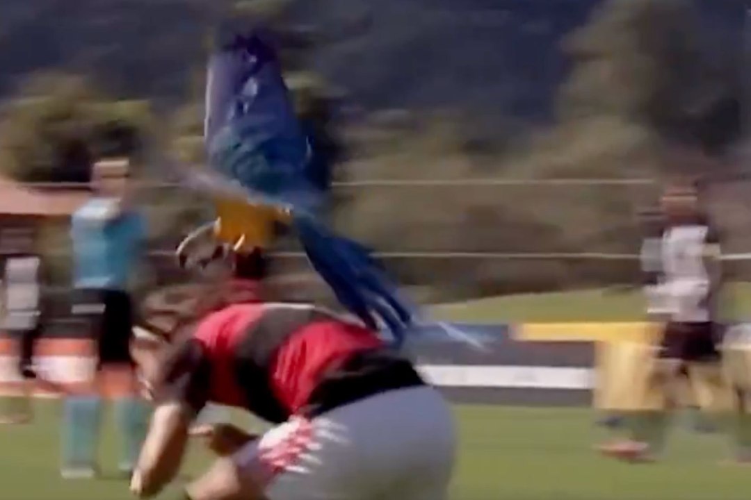 A giant bird tried to attack a soccer player... and the match had to stop