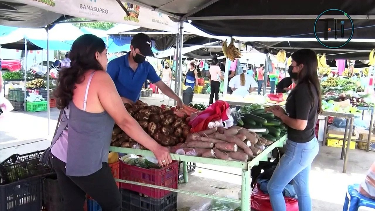 El Dato - Expectativas agronegocios, café y ganado - 4 de septiembre 2024