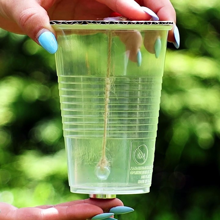 Incredible Magnet Trick You Need To Try 🧲
