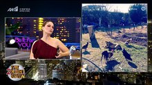 Στεφανί Καπετανίδη:H ζωή για 10 χρόνια σε φάρμα στη Χαλκιδική & το «καταστροφικό» πάθος που τελείωσε [Full Movie]