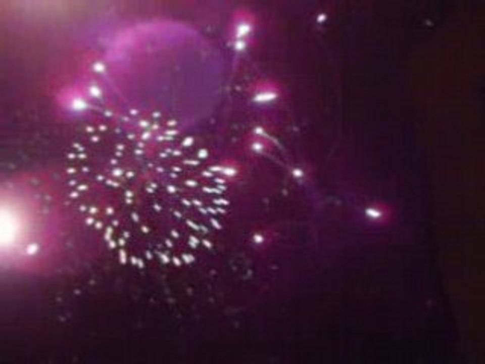 Feu D'artifice Nimes 2008 (6)