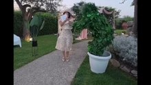 Gli scherzi della pianta