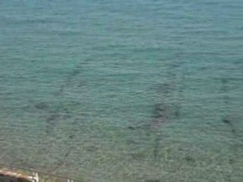 Mare cristallino a Sanremo - Italian Riviera dei Fiori