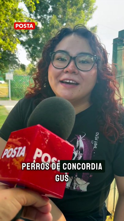 Abandonaron a un Golden Retriever en un parque de Apodaca; hoy tiene una nueva familia y una segunda oportunidad