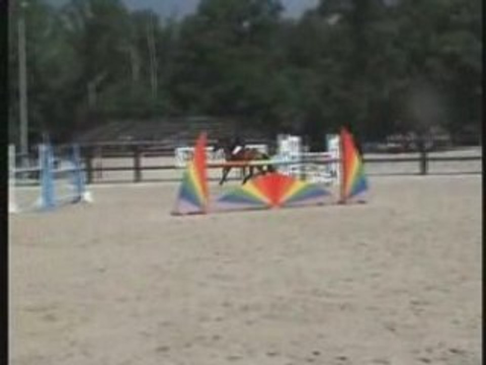 La Houssaye-en-Brie 13.07.08_0001