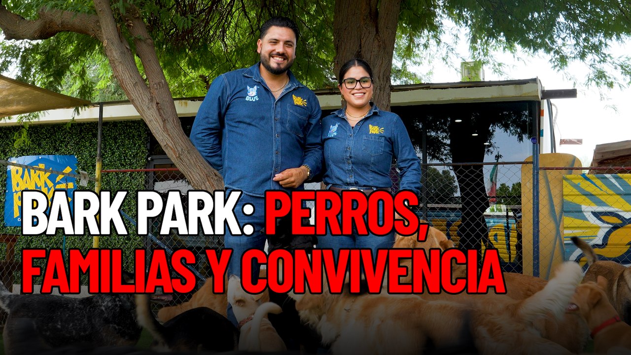 Bark Park: perros, familia y convivencia
