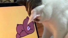 Kucing main Game