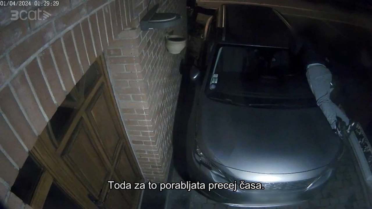 Mafija ukradenih avtomobilov
