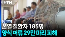 온열 질환자 185명...양식 어류 29만 마리 피해 / YTN