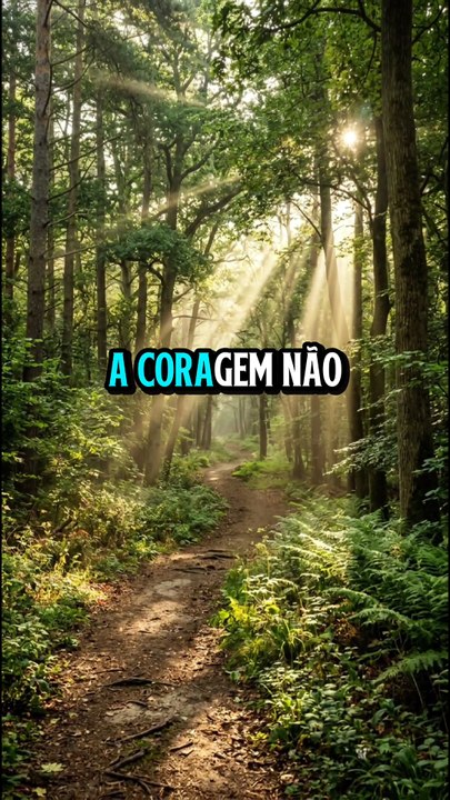 #Determinação #MotivaçãoDiária #SuperaçãoDiária #DesenvolvimentoPessoal #NuncaDesista