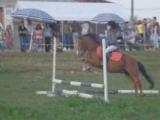 Portes ouvertes 2007