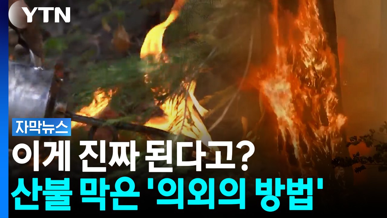 이따 다섯시에 숲에 불이 날 거예요...거대한 산불 막는 가장 역설적인 방법 [자막뉴...