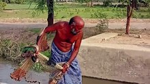 Fish wala baba
