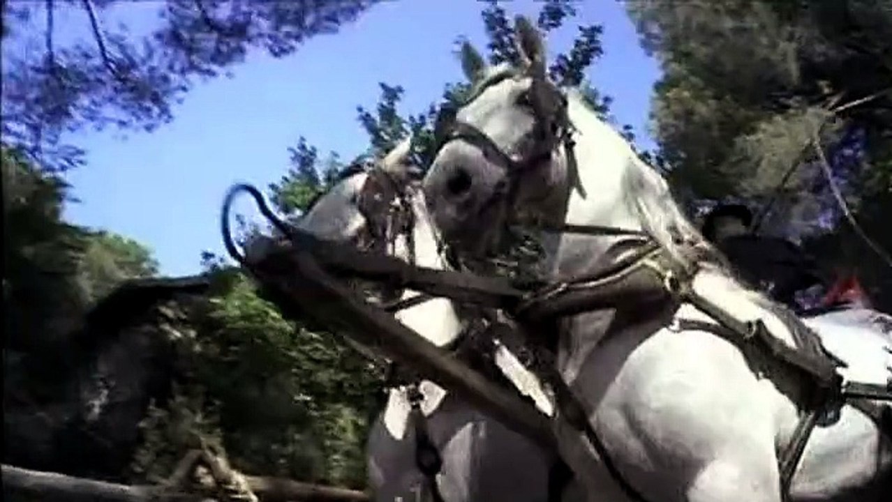 LE VERGINI CAVALCANO LA MORTE   (Jorge Grau; Horror; 1973)