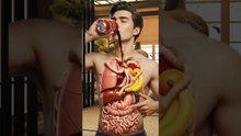 Inside Your Body After Drinking Coca-Cola | Realistic 3D Digestion Animation #motivation