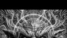 Avatar polarizado
