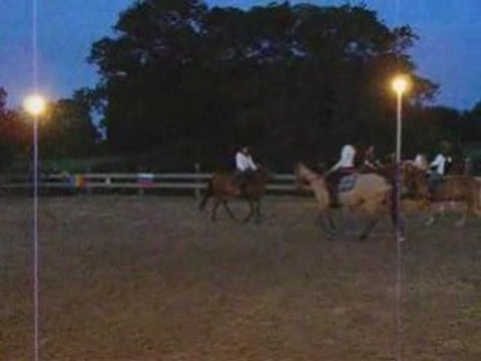 chevaux