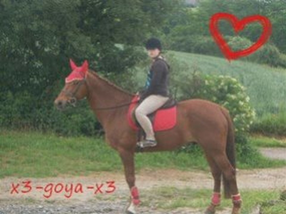 Lui ki ma donne une sens a ma vie