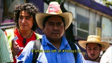 History of a Movement (Historia de un movimiento, 2023)